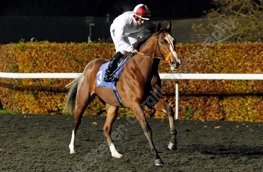 Hurricane-Alex-0001 
 HURRICANE ALEX (Tom Marquand)
Kempton 20 Nov 2019 - Pic Steven Cargill / Racingfotos.com