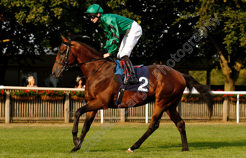 George-Villiers-0002 
 GEORGE VILLIERS (Robert Havlin) winner of The Fly London Southend Airport To Lyon Handicap
Newmarket 20 Jul 2018 - Pic Steven Cargill / Racingfotos.com