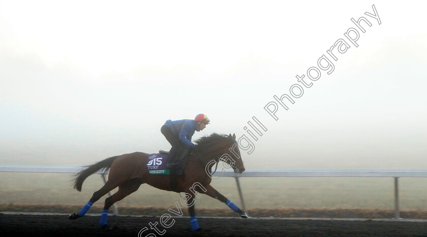 Mishriff-0006 
 MISHRIFF (Frankie Dettori) training for the Breeders' Cup Turf
Keeneland USA 3 Nov 2022 - Pic Steven Cargill / Racingfotos.com