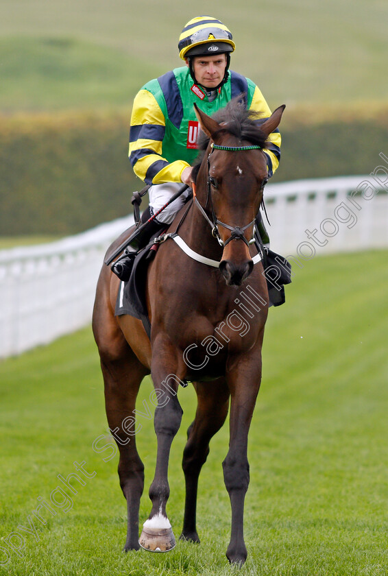 Giving-Glances-0001 
 GIVING GLANCES (Fergus Sweeney) Goodwood 27 Sep 2017 - Pic Steven Cargill / Racingfotos.com