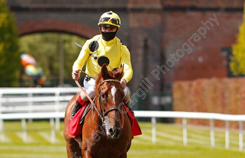 El-Drama-0010 
 EL DRAMA (Andrea Atzeni) after The tote+ Biggest Dividends At tote.co.uk Dee Stakes
Chester 6 May 2021 - Pic Steven Cargill / Racingfotos.com