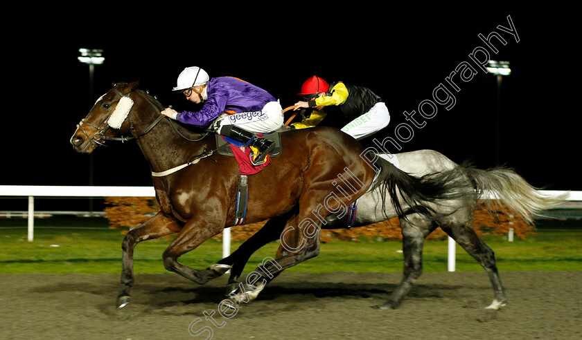 Viola-Park-0002 
 VIOLA PARK (David Probert) wins The Close Brothers Business Finance Handicap
Kempton 12 Dec 2018 - Pic Steven Cargill / Racingfotos.com