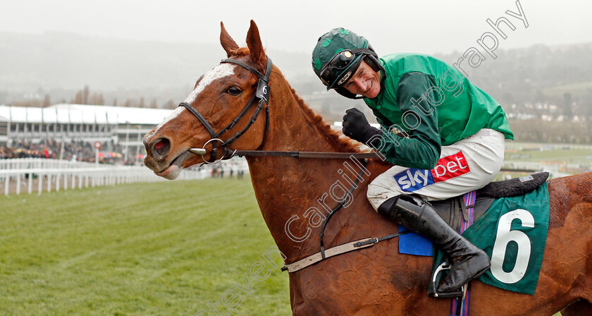 Concertista-0009 
 CONCERTISTA (Daryl Jacob) after The Daylesford Mares Novices Hurdle
Cheltenham 12 Mar 2020 - Pic Steven Cargill / Racingfotos.com