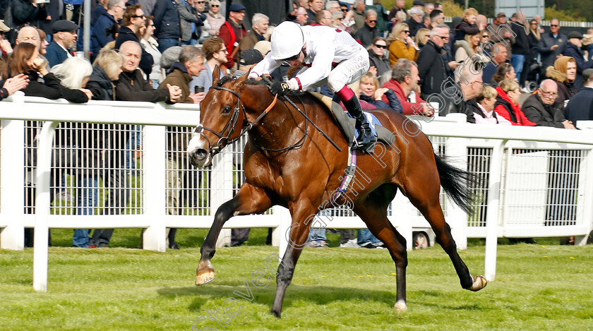 Kadovar-0006 
 KADOVAR (Oisin Murphy) wins The Stephen Wallis Novice Stakes
Epsom 25 Apr 2023 - Pic Steven Cargill / Racingfotos.com