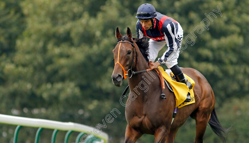 Happy-Romance-0004 
 HAPPY ROMANCE (Sean Levey)
Haydock 4 Sep 2021 - Pic Steven Cargill / Racingfotos.com