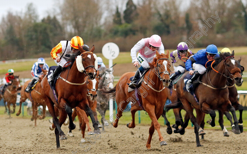 The-Conqueror-0003 
 THE CONQUEROR (left, Ethan Jones) beats FRAVANCO (centre) in The Boost Your Acca-Fenwa With BetUk Handicap
Lingfield 23 Dec 2023 - Pic Steven Cargill / Racingfotos.com