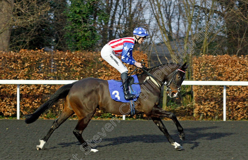 Bold-And-Loyal-0002 
 BOLD AND LOYAL (Daniel Muscutt)
Kempton 16 Feb 2022 - Pic Steven Cargill / Racingfotos.com