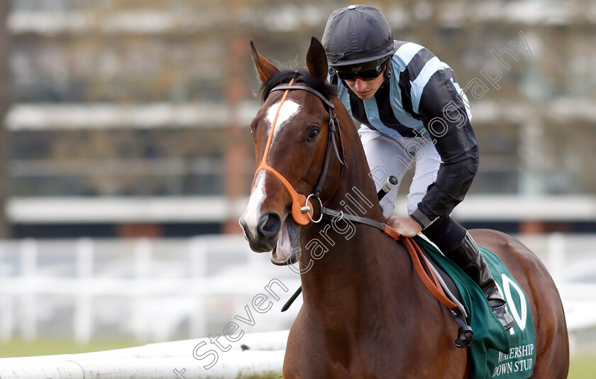 Urban-Icon-0002 
 URBAN ICON (Tom Marquand)
Newbury 13 Apr 2019 - Pic Steven Cargill / Racingfotos.com