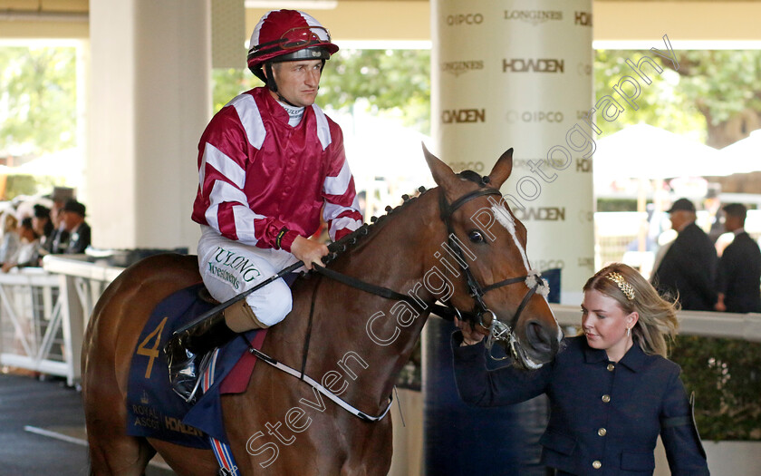 Higher-Leaves-0001 
 HIGHER LEAVES (Shane Foley)
Royal Ascot 20 Jun 2024 - Pic Steven Cargill / Racingfotos.com