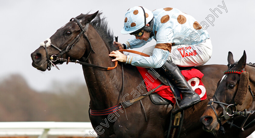 Saint-Anapolino-0001 
 SAINT ANAPOLINO (Micheal Nolan) wins he Ladbrokes Handicap Hurdle
Kempton 22 Feb 2025 - Pi Steven Cargill / Racingfotos.com