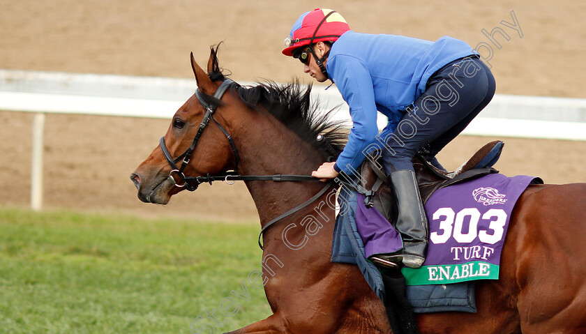 Enable-0004 
 ENABLE (Frankie Dettori) exercising ahead of The Breeders' Cup Turf
Churchill Downs 31 Oct 2018 - Pic Steven Cargill / Racingfotos.com