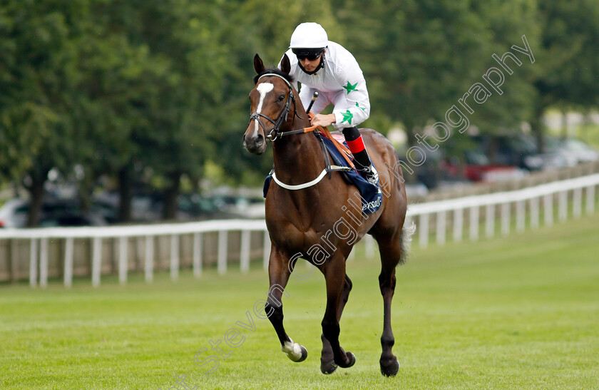 Asymmetric-0001 
 ASYMMETRIC (Martin Harley)
Newmarket 8 Jul 2021 - Pic Steven Cargill / Racingfotos.com