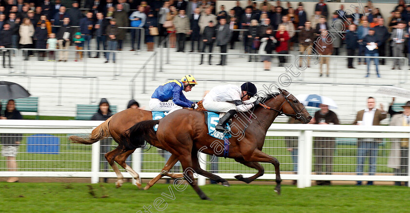 Projection-0005 
 PROJECTION (Kieran Shoemark) wins The John Guest Racing Bengough Stakes
Ascot 6 Oct 2018 - Pic Steven Cargill / Racingfotos.com