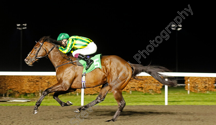 Jolly-Roger-0001 
 JOLLY ROGER (Oisin Murphy) wins The Unibet British Stallion Studs EBF Novice Stakes Div2
Kempton 11 Dec 2024 - Pic Steven Cargill / Racingfotos.com