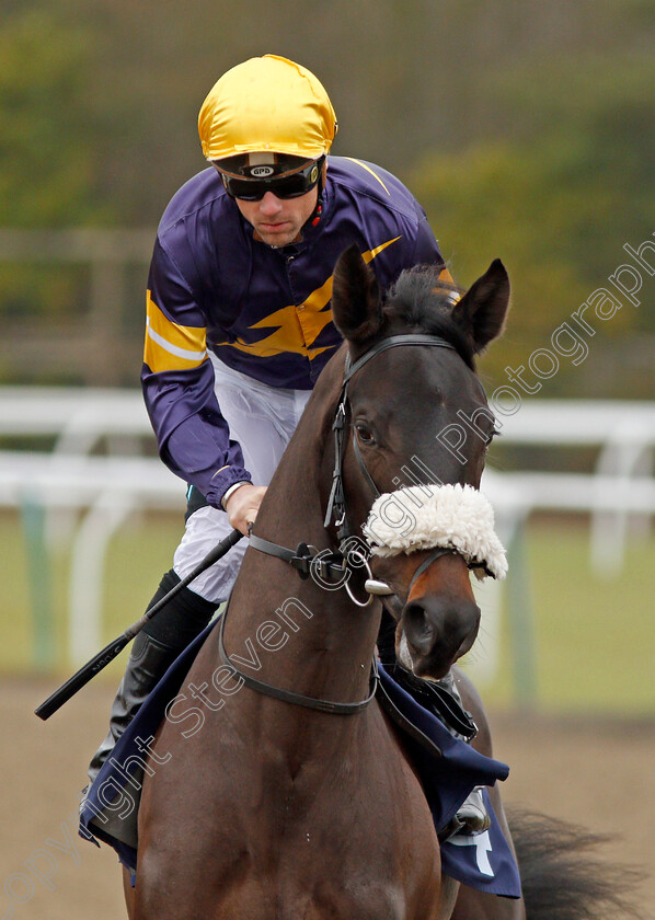 Dancing-Brave-Bear-0001 
 DANCING BRAVE BEAR (Stevie Donohoe) winner of The 32Red Casino EBF Fillies Novice Stakes Lingfield 20 Dec 2017 - Pic Steven Cargill / Racingfotos.com