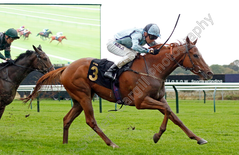 Stressfree-0002 
 STRESSFREE (Jason Watson) wins The Trustatrader Approved And Reviewed Trades People Handicap
Nottingham 11 Oct 2023 - Pic Steven Cargill / Racingfotos.com