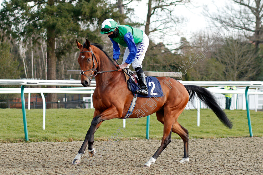 Glentaneous-0001 
 GLENTANEOUS (Ryan Moore) winner of The Play Ladbrokes 5-A-Side On Football Novice Stakes
Lingfield 27 Feb 2021 - Pic Steven Cargill / Racingfotos.com