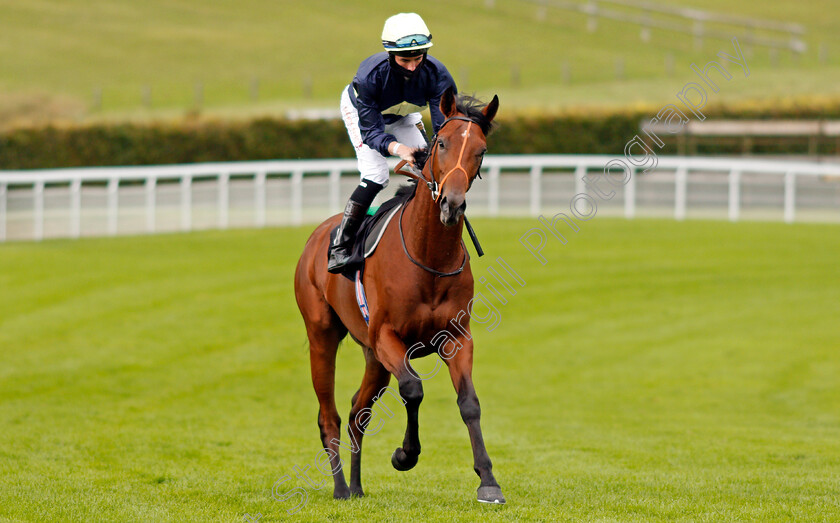 Clay-0001 
 CLAY (Rossa Ryan)
Goodwood 28 Aug 2020 - Pic Steven Cargill / Racingfotos.com