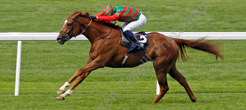 Assail-0002 
 ASSAIL (Silvestre De Sousa) wins The Slingsby Gin Handicap
Ascot 26 Jul 2024 - Pic Steven Cargill / Racingfotos.com