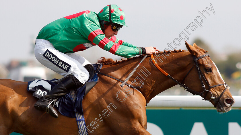 Ornua-0006 
 ORNUA (Davy Russell) wins The Doom Bar Maghull Novices Chase
Aintree 6 Apr 2019 - Pic Steven Cargill / Racingfotos.com