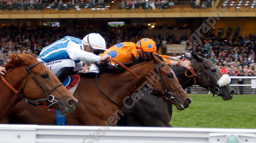 Lily s-Candle-0006 
 LILY'S CANDLE (right, Pierre-Charles Boudot) beats MATEMATICA (centre) and STAR TERMS (left) in The Qatar Prix Marcel Boussac
Longchamp 7 Oct 2018 - Pic Steven Cargill / Racingfotos.com