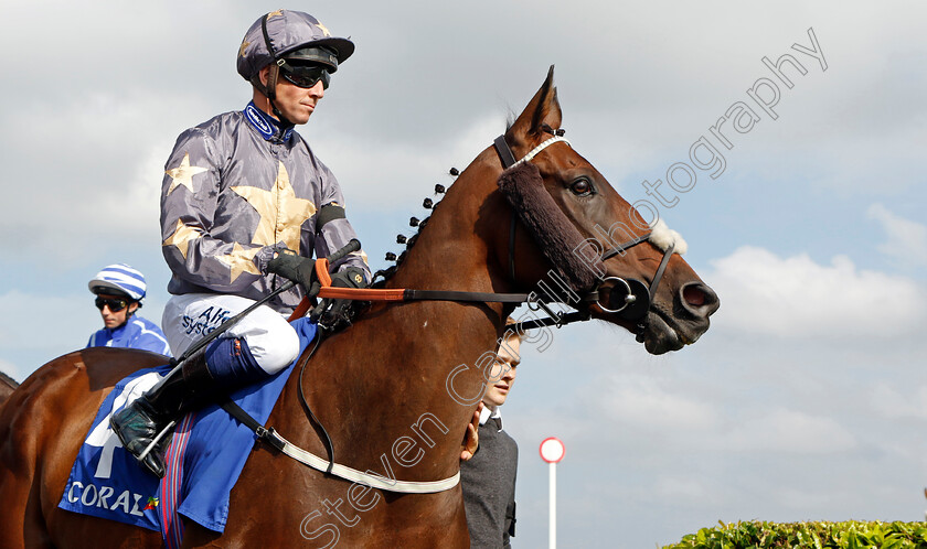 Reshoun-0001 
 RESHOUN (Jim Crowley)
Doncaster 11 Sep 2022 - Pic Steven Cargill / Racingfotos.com