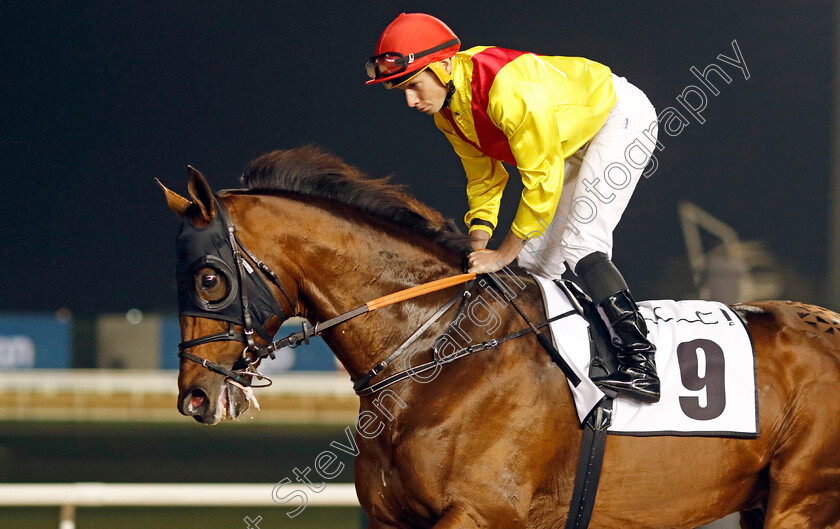 Bendoog-0001 
 BENDOOG (Ryan Moore)
Meydan 3 Feb 2023 - Pic Steven Cargill / Racingfotos.com