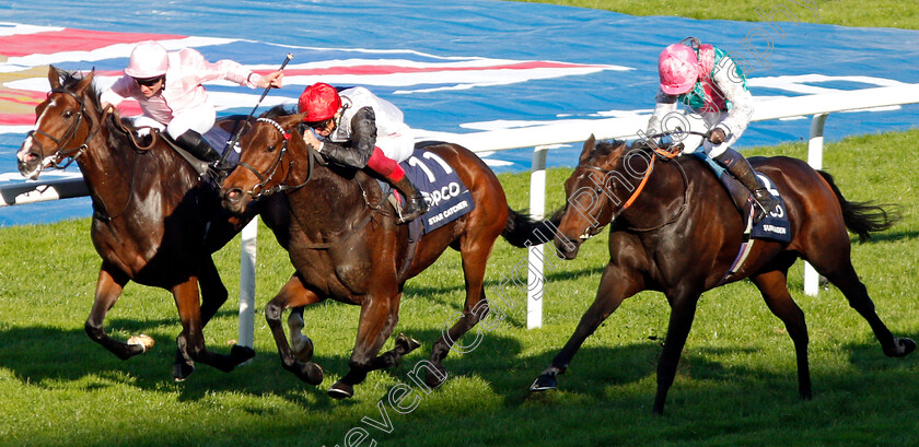 Star-Catcher-0004 
 STAR CATCHER (centre, Frankie Dettori) beats DELPHINIA (left) and SUN MAIDEN (right) in The Qipco British Champions Fillies & Mares Stakes
Ascot 19 Oct 2019 - Pic Steven Cargill / Racingfotos.com