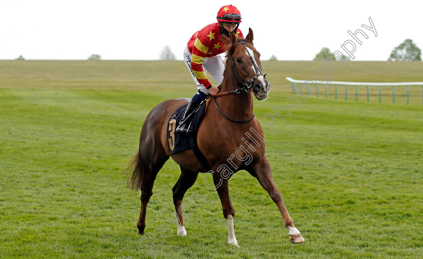 Athollblair-Boy-0001 
 ATHOLLBLAIR BOY (Oisin McSweeney)
Newmarket 14 May 2021 - Pic Steven Cargill / Racingfotos.com