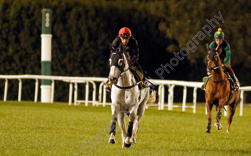 Glorious-Dragon-0003 
 GLORIOUS DRAGON training for The Dubai Turf
Meydan, Dubai, 22 Mar 2023 - Pic Steven Cargill / Racingfotos.com