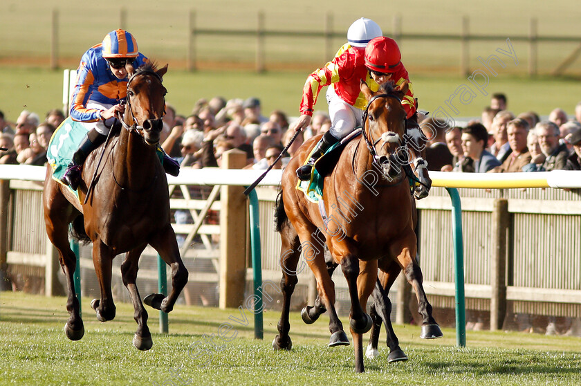 Iridessa-0004 
 IRIDESSA (Wayne Lordan) beats HERMOSA (left) in The bet365 Fillies Mile
Newmarket 12 Oct 2018 - Pic Steven Cargill / Racingfotos.com