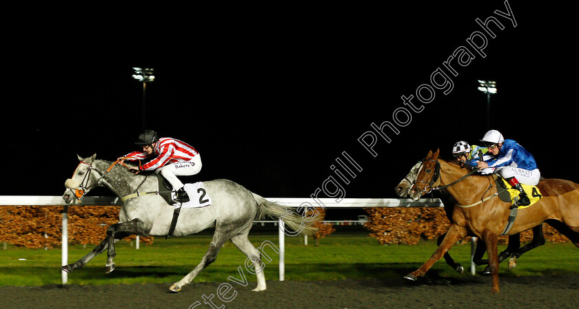 Sunblazer-0003 
 SUNBLAZER (Richard Kingscote) wins The Download The Matchbook App Handicap Kempton 13 Dec 2017 - Pic Steven Cargill / Racingfotos.com