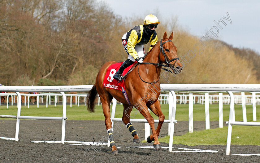 Kendergarten-Kop-0001 
 KENDERGARTEN KOP (Hayley Turner)
Kempton 27 Mar 2021 - Pic Steven Cargill / Racingfotos.com