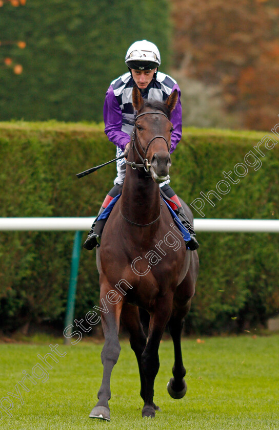 Astrologist-0001 
 ASTROLOGIST (Adam Kirby) Nottingham 18 Oct 2017 - Pic Steven Cargill / Racingfotos.com