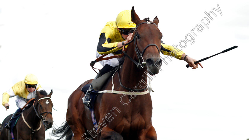 Arctic-Sound-0003 
 ARCTIC SOUND (James Doyle) wins The Owlerton Greyhound Stadium Nursery
Doncaster 12 Sep 2018 - Pic Steven Cargill / Racingfotos.com