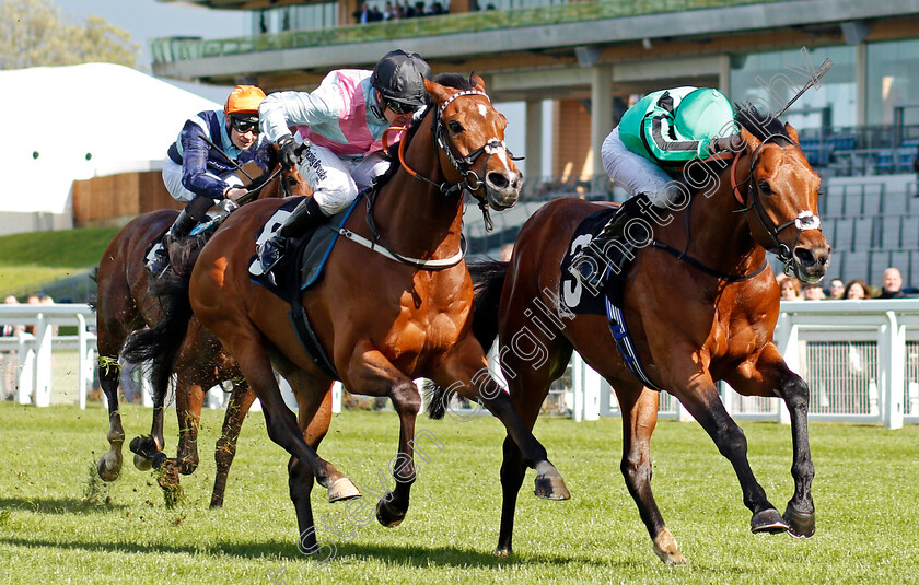 Century-Dream-0001 
 CENTURY DREAM (right, William Buick) beats CRAZY HORSE (left) in The Celebrating The Commonwealth Paradise Stakes Ascot 2 May 2018 - Pic Steven Cargill / Racingfotos.com