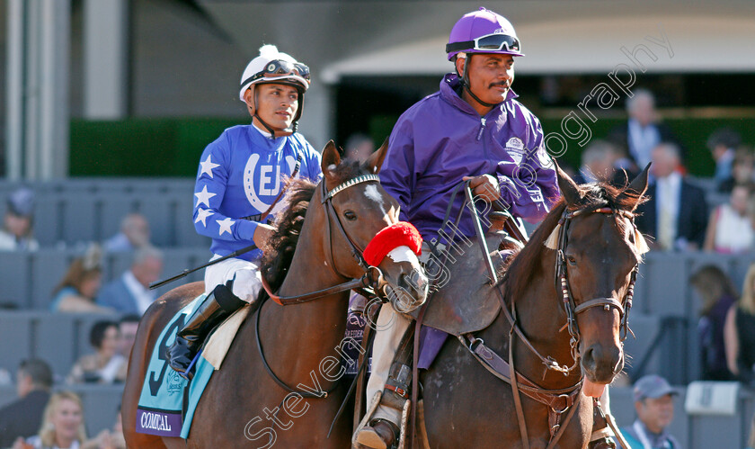 Comical-0001 
 COMICAL (Abel Cedillo)
Santa Anita 1 Nov 2019 - Pic Steven Cargill / Racingfotos.com