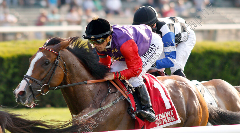 Call-To-Mind-0005 
 CALL TO MIND (Javier Castellano) wins The Belmont Gold Cup Invitational Stakes
Belmont Park 8 Jun 2018 - Pic Steven Cargill / Racingfotos.com