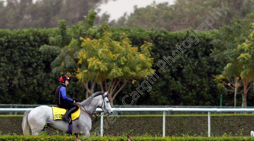 Lord-Glitters-0001 
 LORD GLITTERS training for the Dubai Turf
Meydan 27 Mar 2019 - Pic Steven Cargill / Racingfotos.com