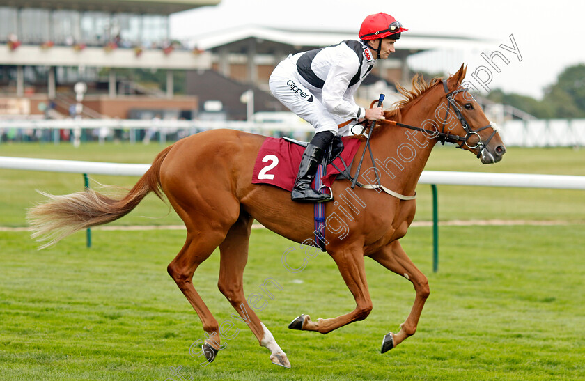 Leitzel-0008 
 LEITZEL (Daniel Tudhope) winner of The British Stallion Studs EBF Fillies Novice Stakes
Haydock 2 Sep 2022 - Pic Steven Cargill / Racingfotos.com