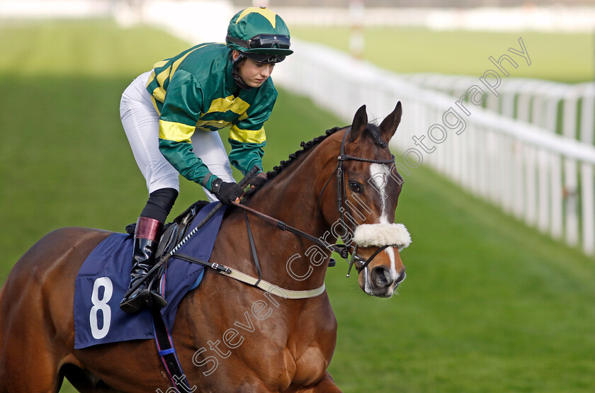 Bucephalus-0005 
 BUCEPHALUS (Rose Dawes) winner of The Injured Jockeys Fund Handicap
Doncaster 2 Apr 2023 - Pic Steven Cargill / Racingfotos.com