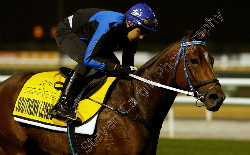 Southern-Legend-0002 
 SOUTHERN LEGEND training for the Dubai Turf
Meydan 27 Mar 2019 - Pic Steven Cargill / Racingfotos.com