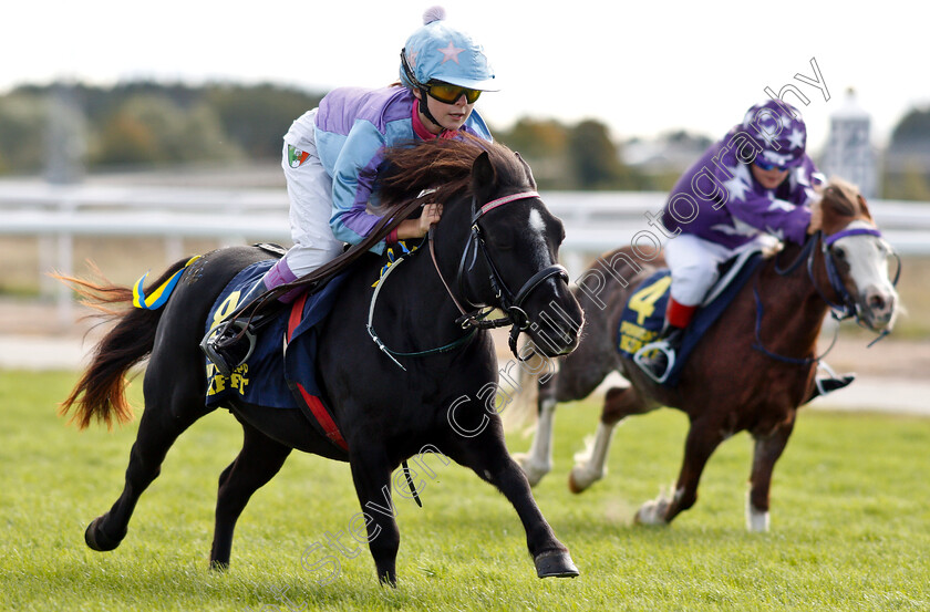 Shetland-Pony-Race-0001 
 SjobrisensBajonett (Stina Landh) wins Shetland Pony Race
Bro Park, Sweden 23 Sep 2018 - Pic Steven Cargill / Racingfotos.com