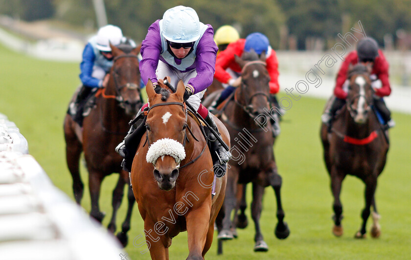 Quickstep-Lady-0006 
 QUICKSTEP LADY (Oisin Murphy) wins The Ladbrokes Giving Extra Places Every Day Novice Stakes
Goodwood 28 Aug 2020 - Pic Steven Cargill / Racingfotos.com