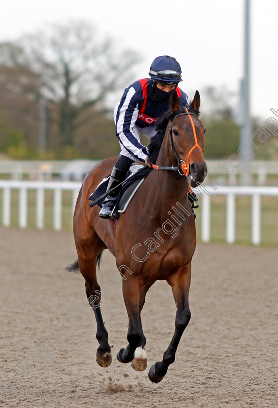 Happy-Romance-0002 
 HAPPY ROMANCE (Sean Levey) winner of The Chelmer Fillies Stakes
Chelmsford 29 Apr 2021 - Pic Steven Cargill / Racingfotos.com