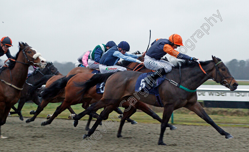 Pivotal-Flame-0005 
 PIVOTAL FLAME (Paddy Bradley) wins The Betway Casino Handicap Lingfield 14 Feb 2018 - Pic Steven Cargill / Racingfotos.com