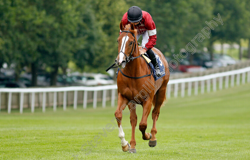 Dig-Two-0001 
 DIG TWO (Tom Marquand)
Newmarket 8 Jul 2021 - Pic Steven Cargill / Racingfotos.com