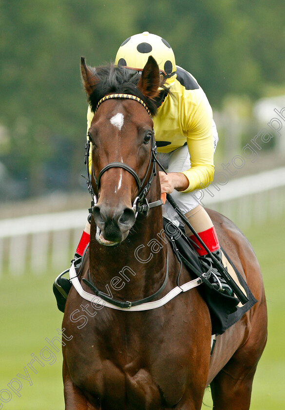 Baikal-0001 
 BAIKAL (Andrea Atzeni)
Newmarket 9 Jul 2021 - Pic Steven Cargill / Racingfotos.com