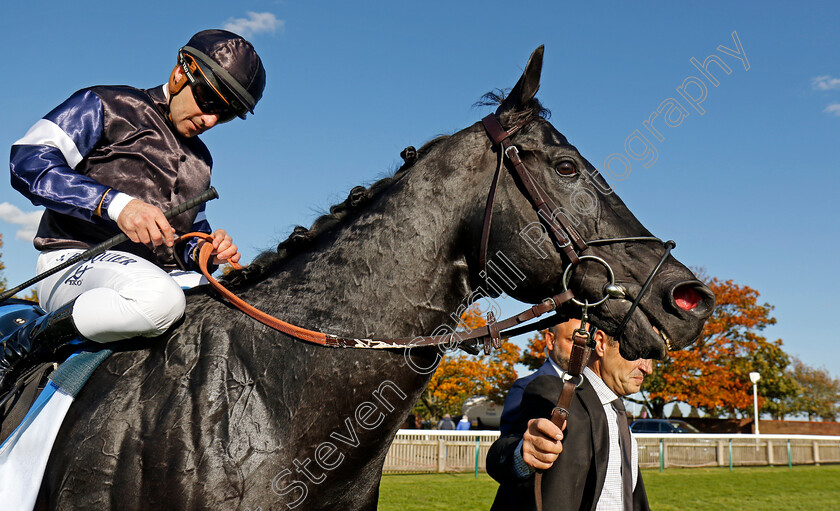 Topgear-0010 
 TOPGEAR (Stephane Pasquier) winner of The Thoroughbred Industry Employee Awards Challenge Stakes
Newmarket 11 Oct 2024 - pic Steven Cargill / Racingfotos.com