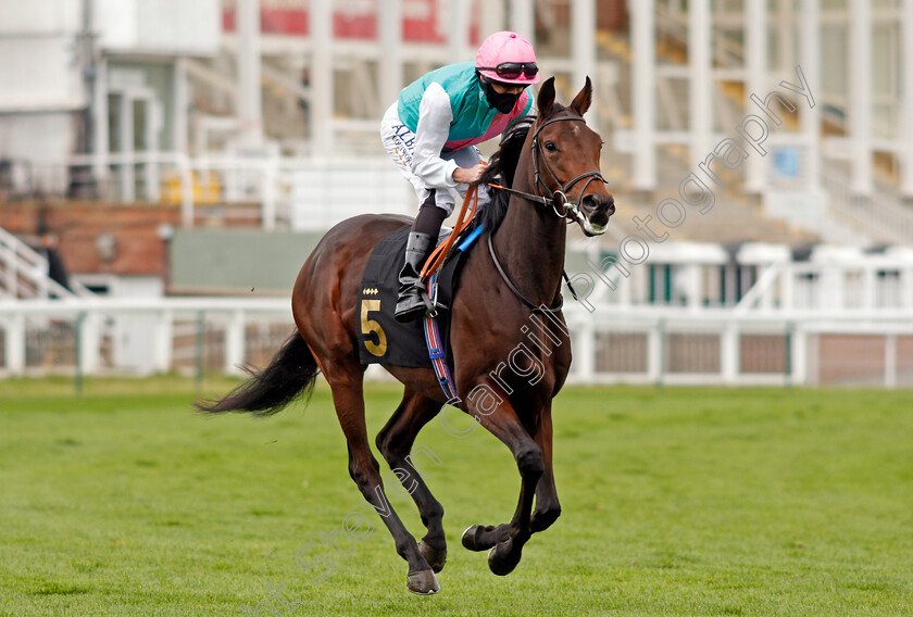 Noon-Star-0003 
 NOON STAR (Ryan Moore) winner of The EBF Maiden Fillies Stakes
Nottingham 14 Oct 2020 - Pic Steven Cargill / Racingfotos.com